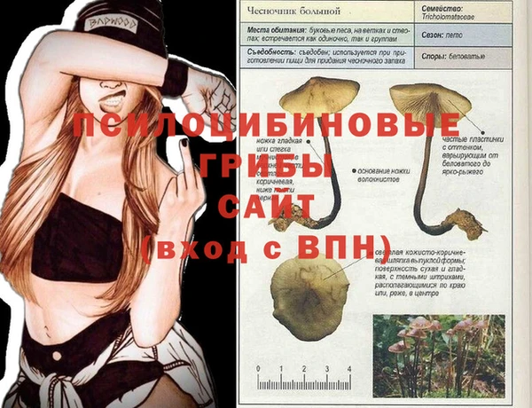 сатива Абдулино
