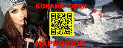 стаф Сланцы