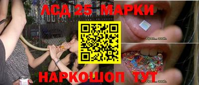 стаф Сланцы