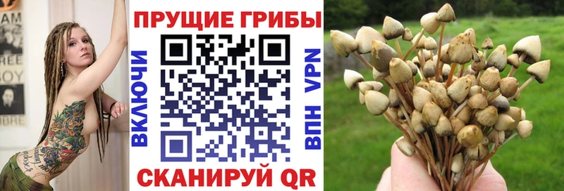Галлюциногенные грибы мухоморы  Октябрьский 