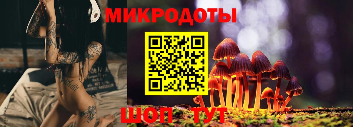 Октябрьский  Галлюциногенные грибы Cubensis  Вход с VPN 